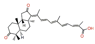 Rhabdastrellic acid A